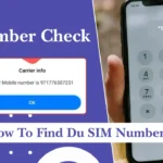 Du Number Check