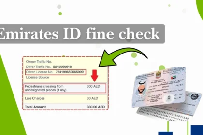 Emirates ID Status Check
