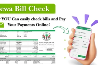 Sewa Bill Check